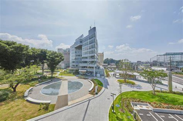 江戸川大学の偏差値は？入試方式別の目安と選び方ガイド