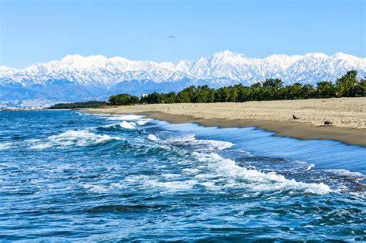 岩瀬 浜 海水浴場：アクセス、見どころ、注意点を地元目線で整理